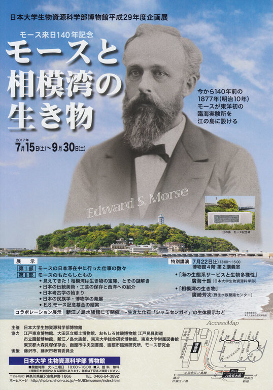 モース来日140年記念 モースと相模湾の生き物 とことこ湘南