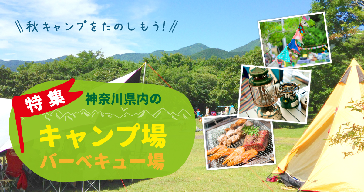 秋キャンプをたのしもう 神奈川県内のキャンプ場 バーベキュー場 とことこ湘南