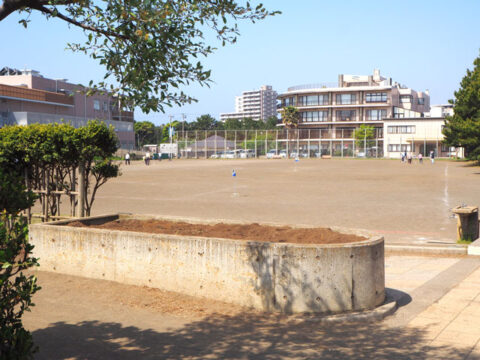 【茅ヶ崎】汐見台公園 - とことこ湘南