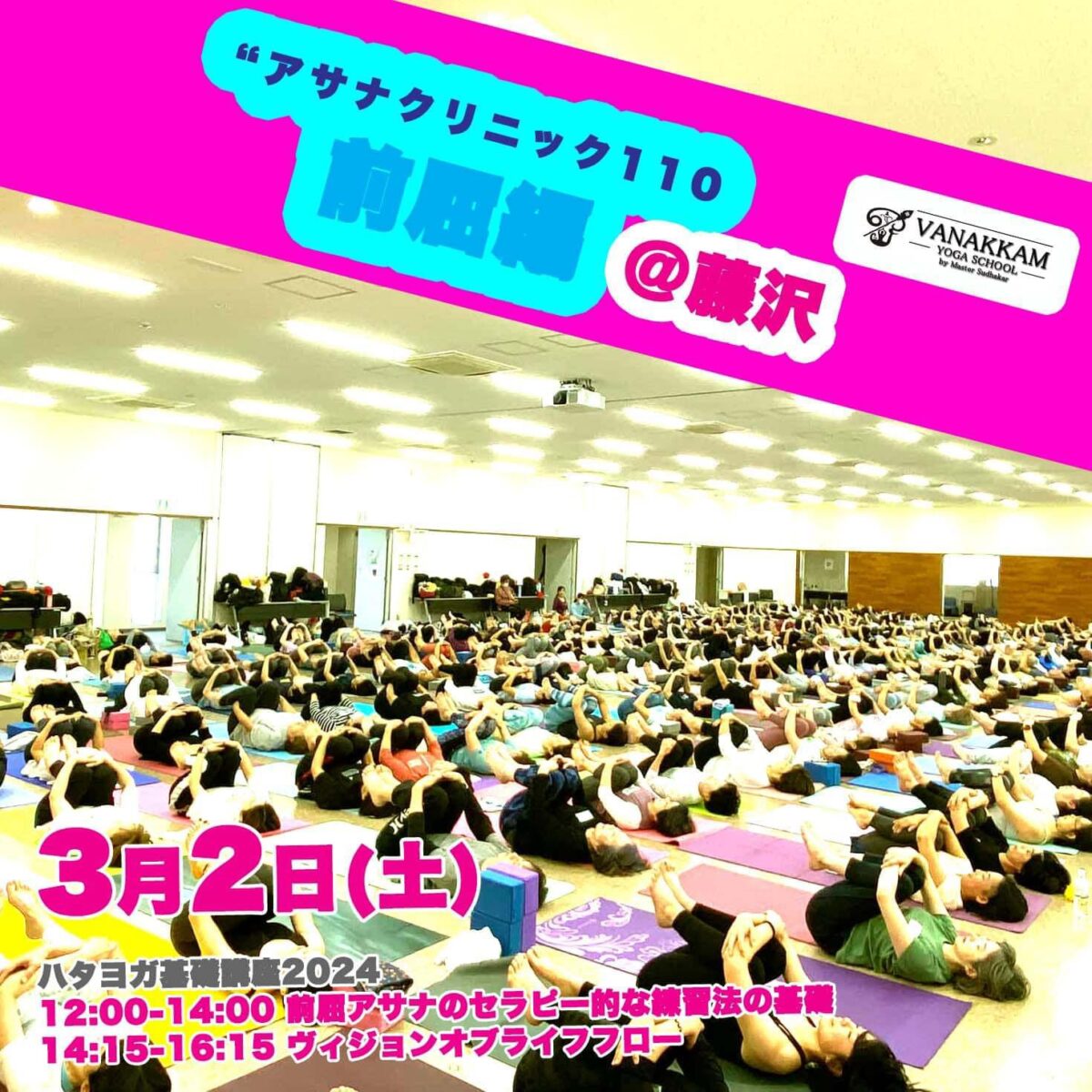 ハタヨガ基礎講座2024‐快適な日常生活の為のヨガ “アサナクリニック110 – 前屈編” ＠ 藤沢