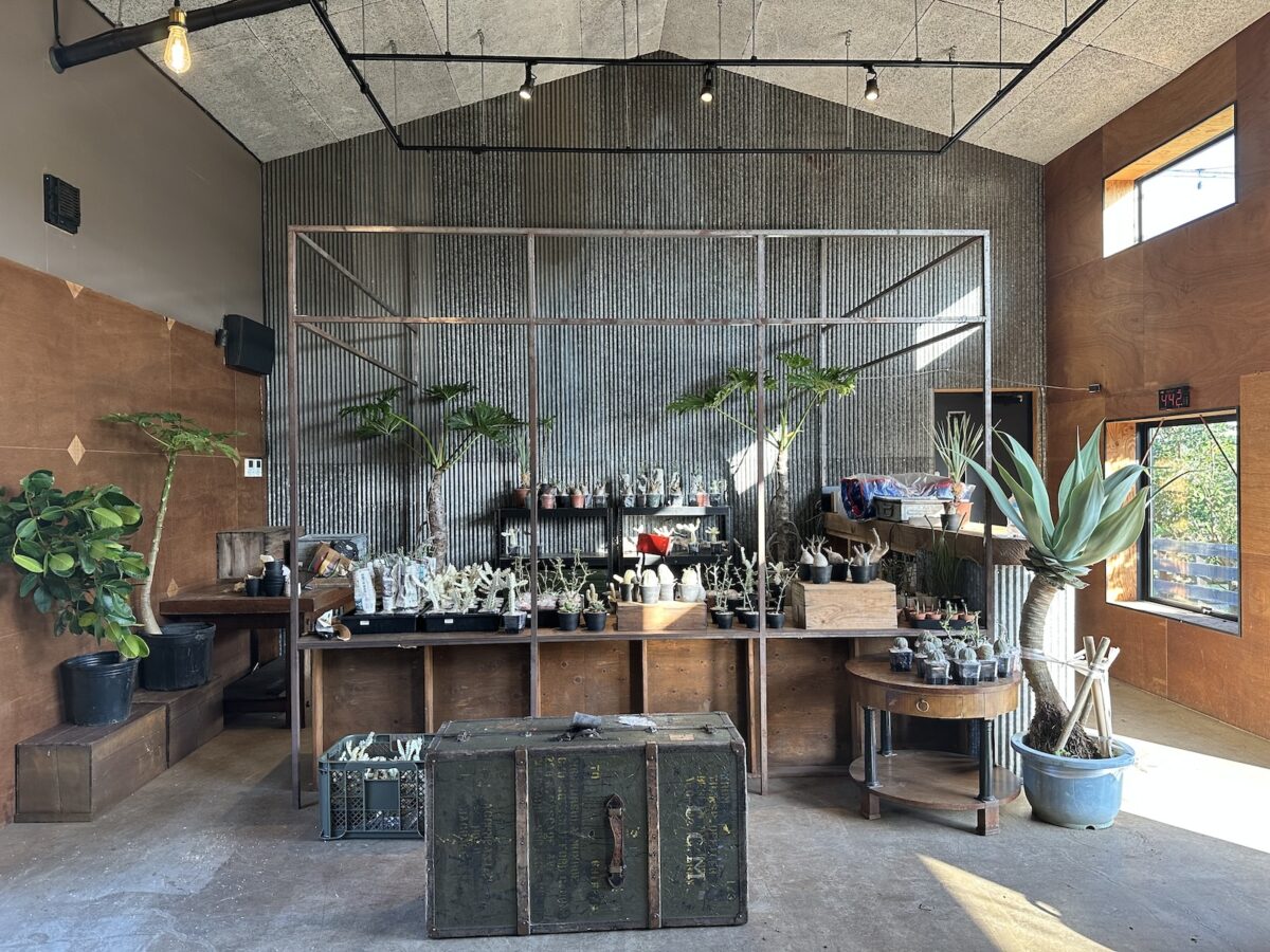 【藤沢・葛原】BOTANICAL MARKET