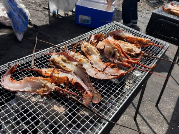 イセエビが最高の焼き加減に