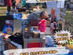 川とのふれあい公園で犬の運動会イベント