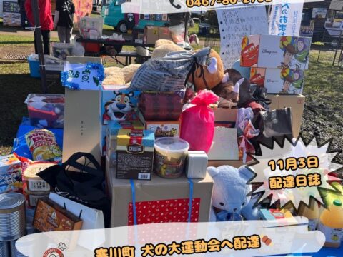 川とのふれあい公園で犬の運動会イベント