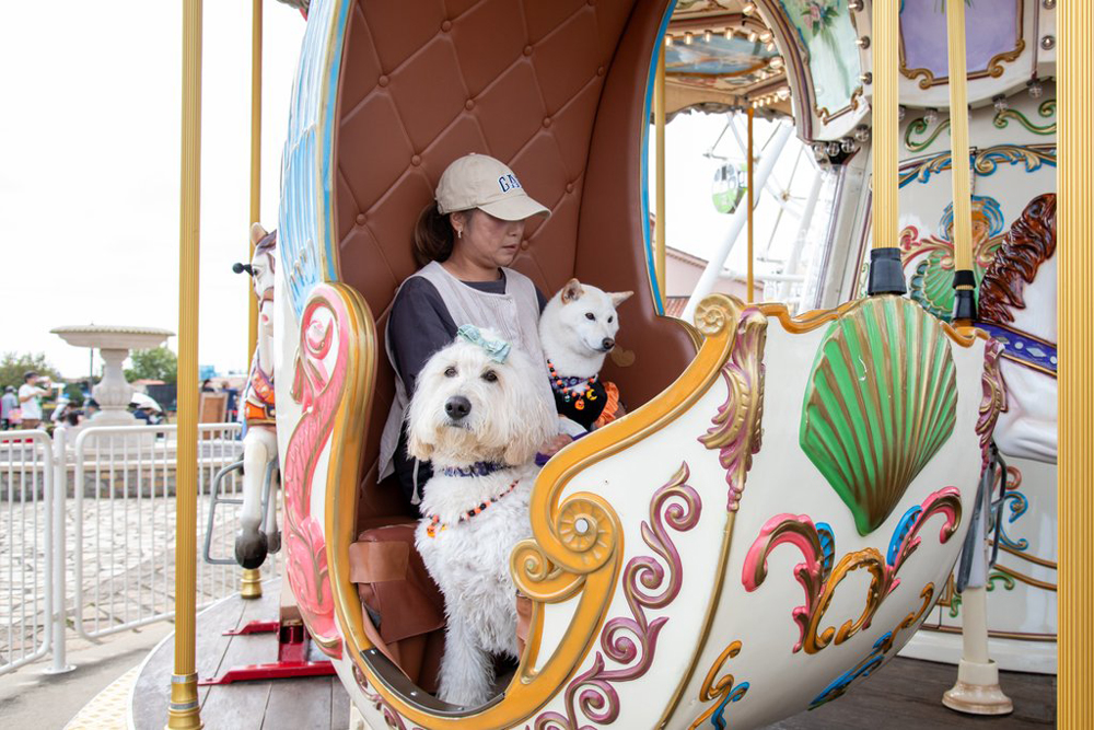 【横須賀】長井海の手公園ソレイユの丘　～SOLEIL DOG PARADE～